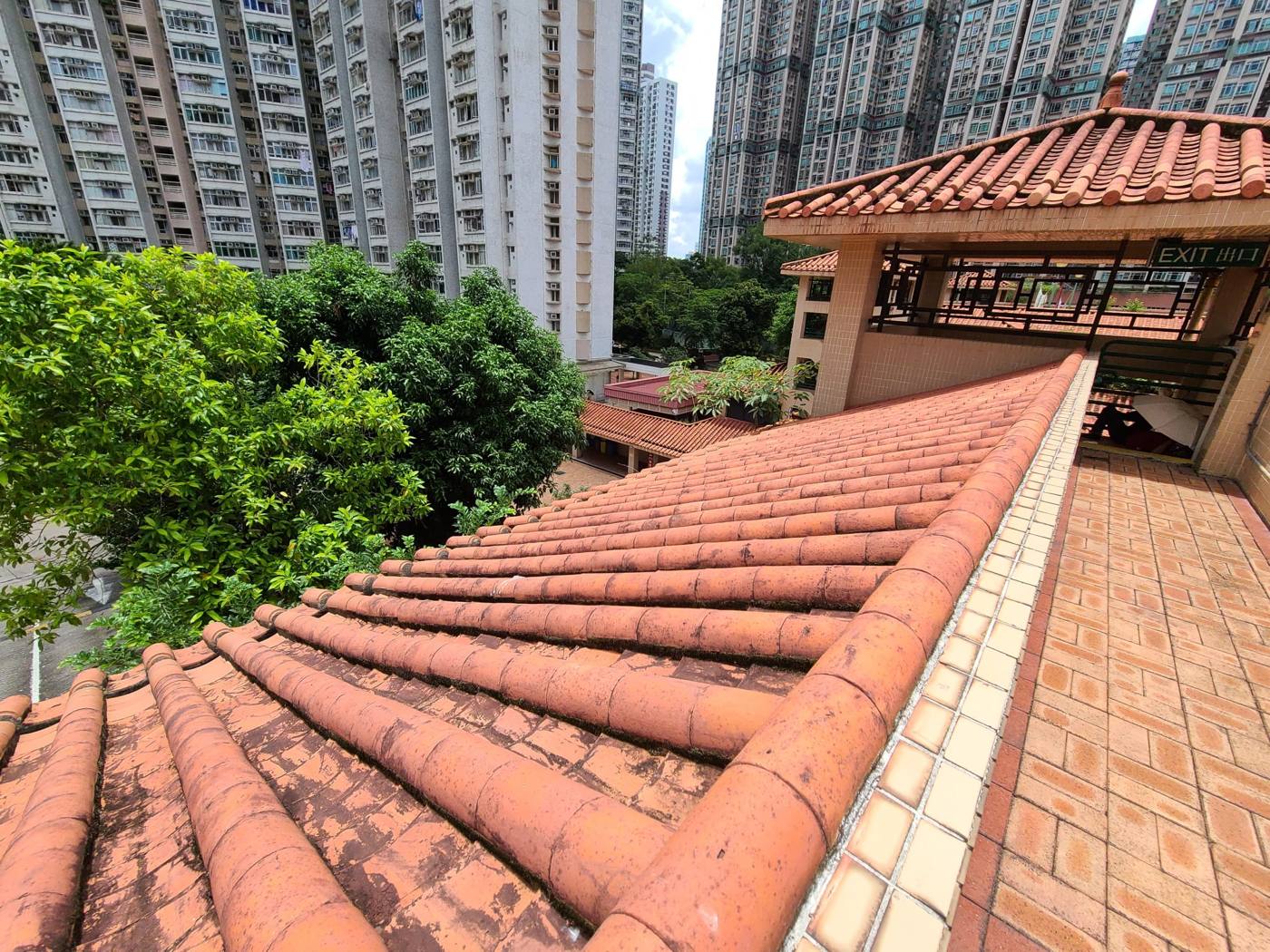 清理後的瓦頂