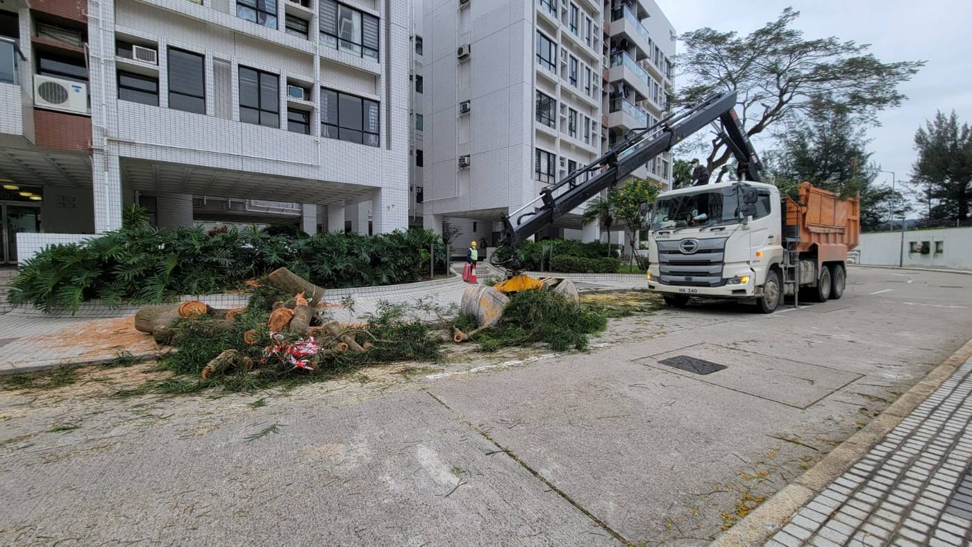 吊臂車清運枝葉
