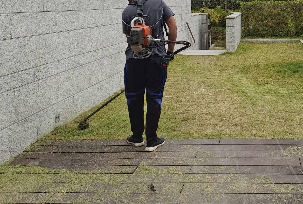 平台邊草地修剪