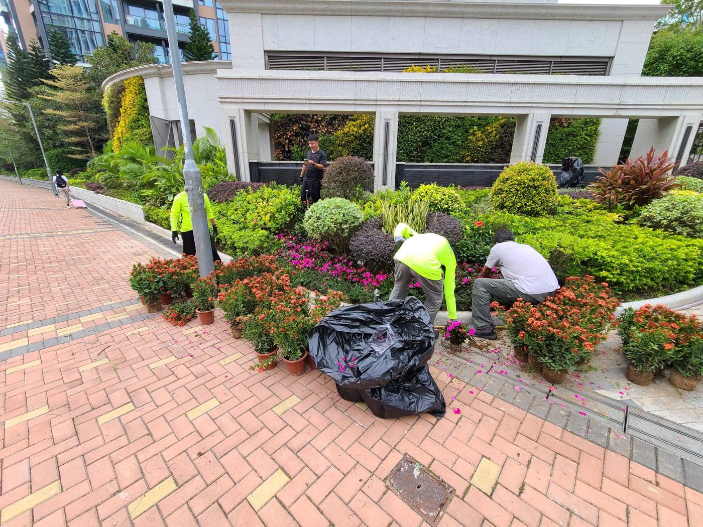 工作人員種植花卉
