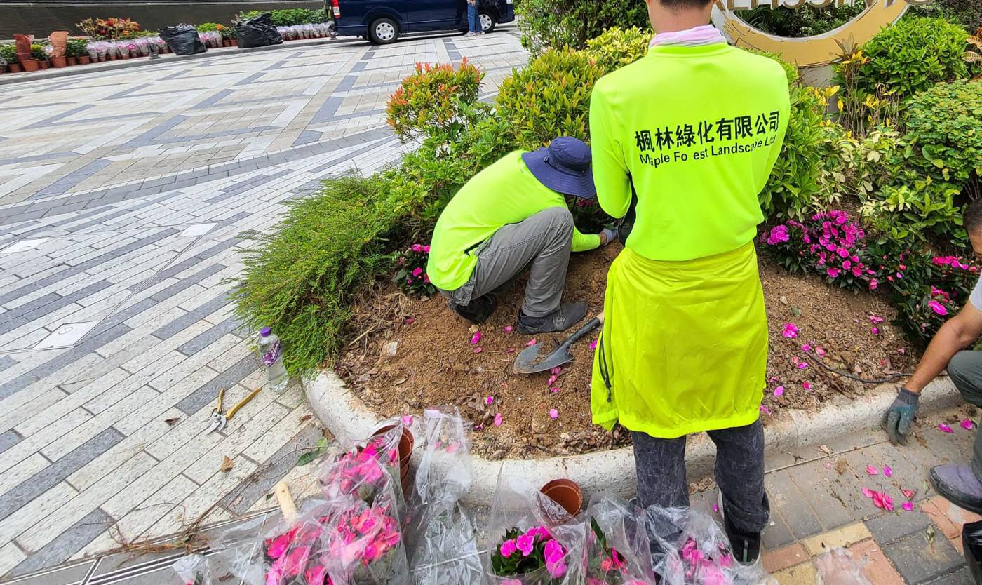 於圓形花圃種植