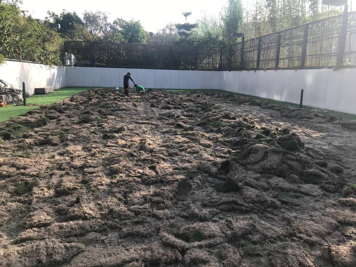 鋪設草地中的場地
