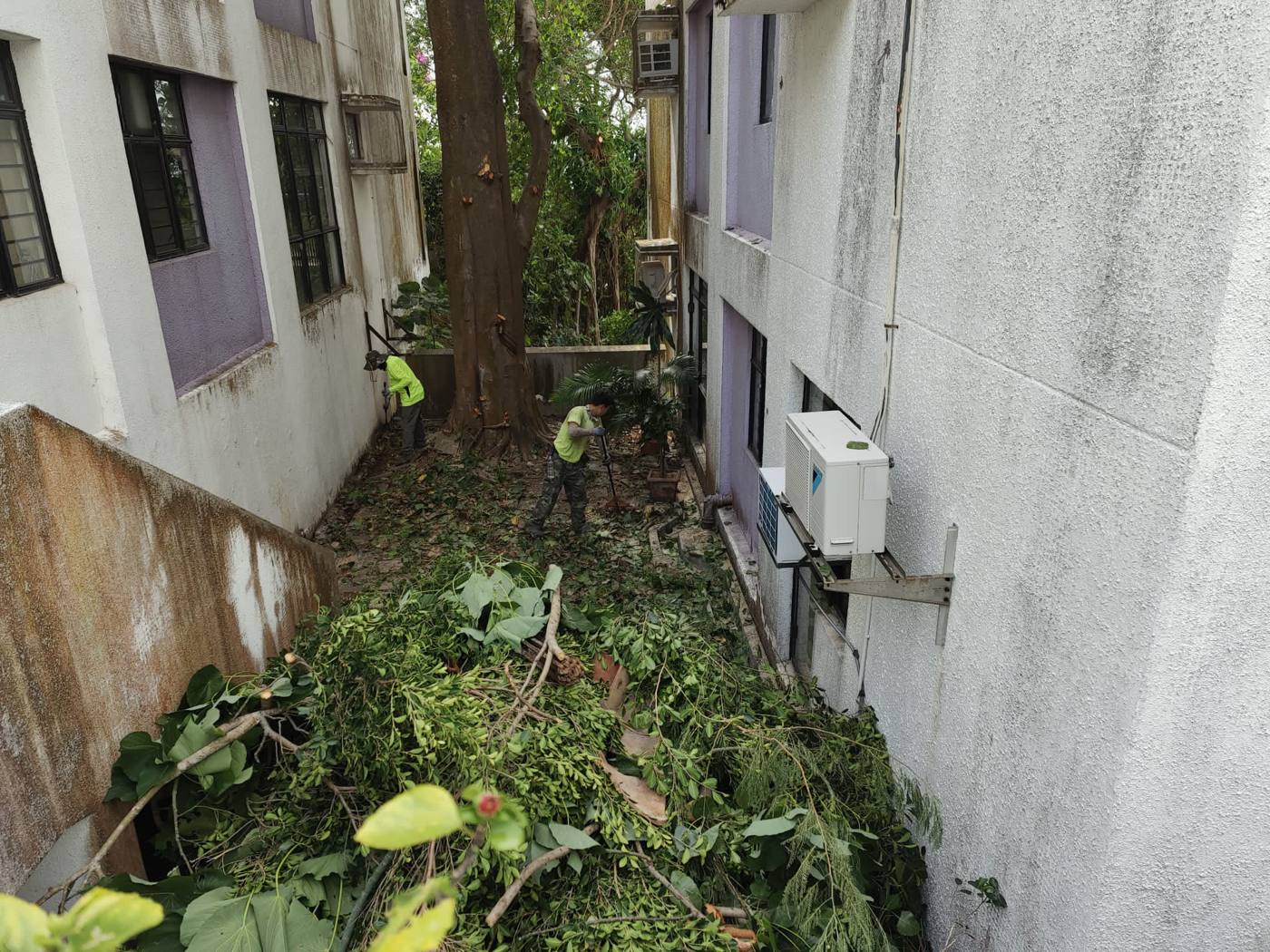 建築物之間的修剪位置