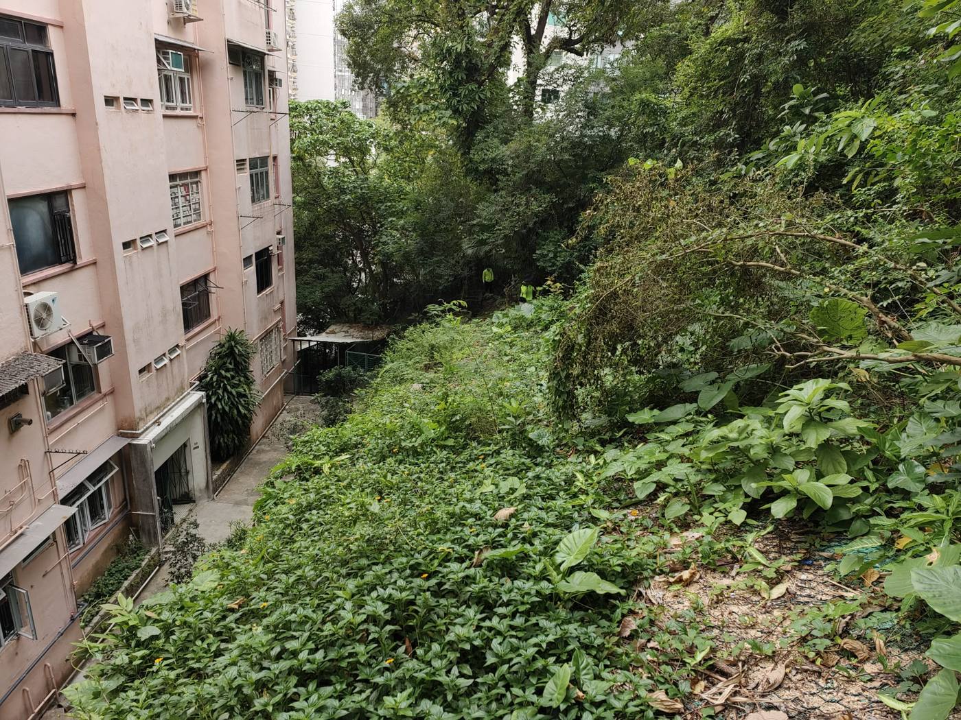 住宅旁的斜坡