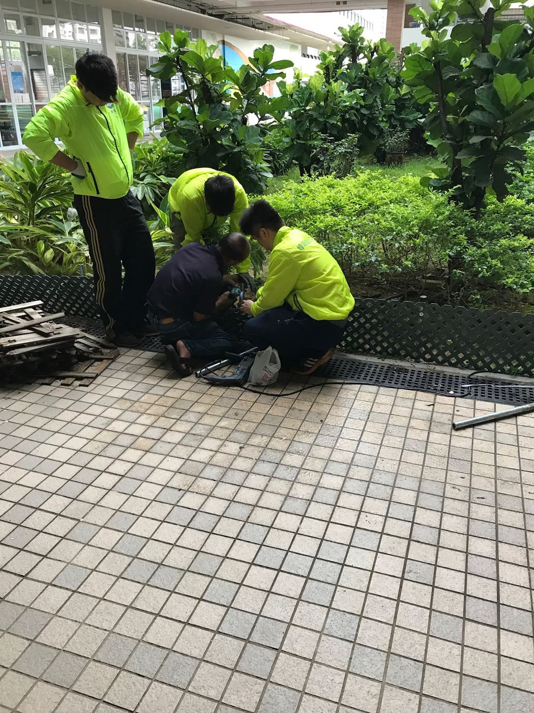 楓林團隊於花槽進行保養工程