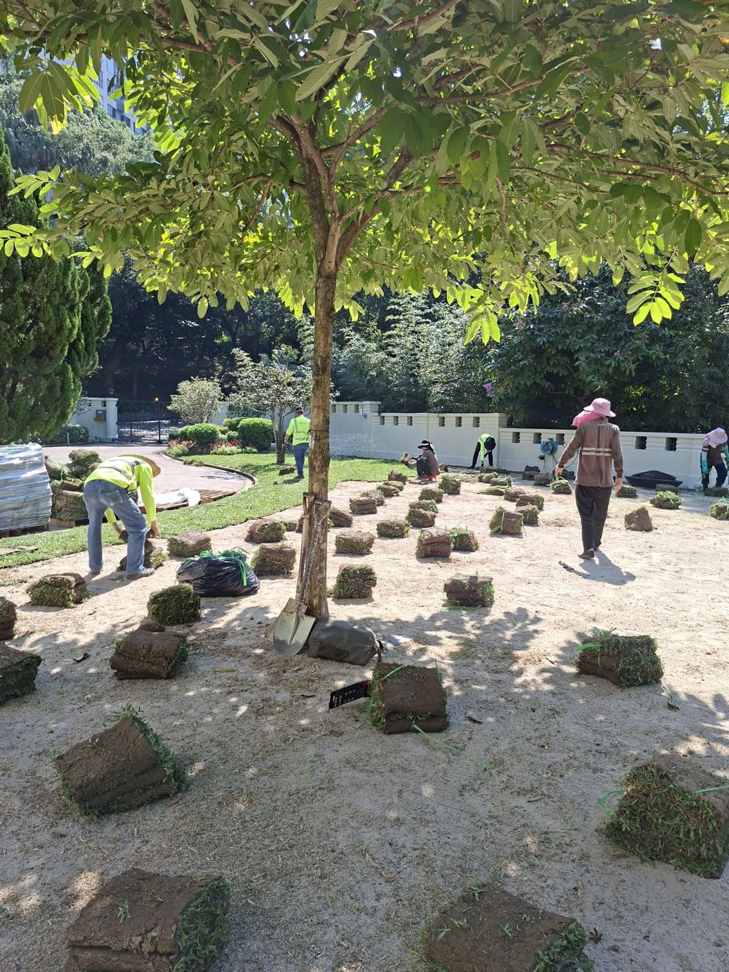 楓林團隊於屋苑園林進行草地工程