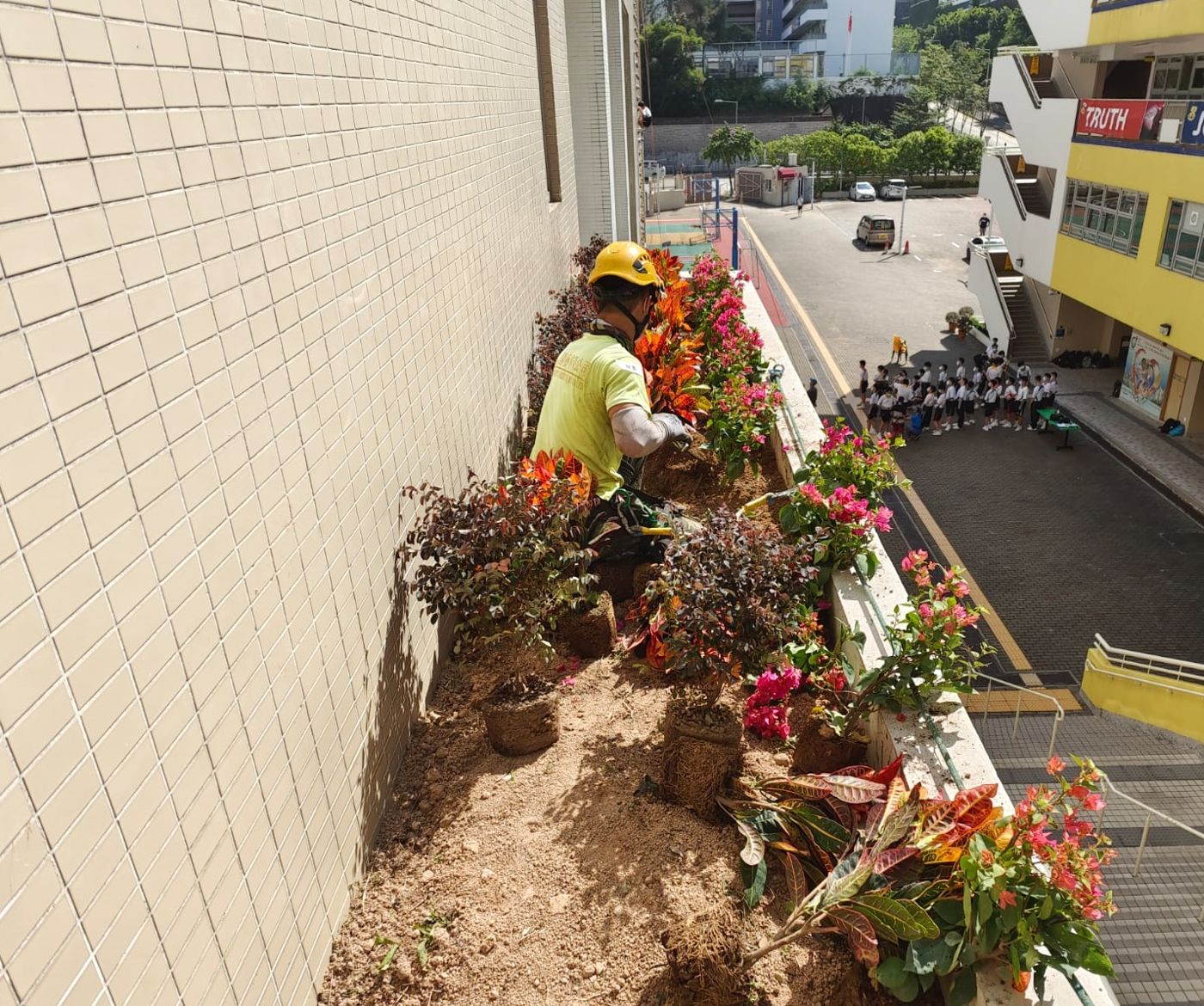 學校花槽種植