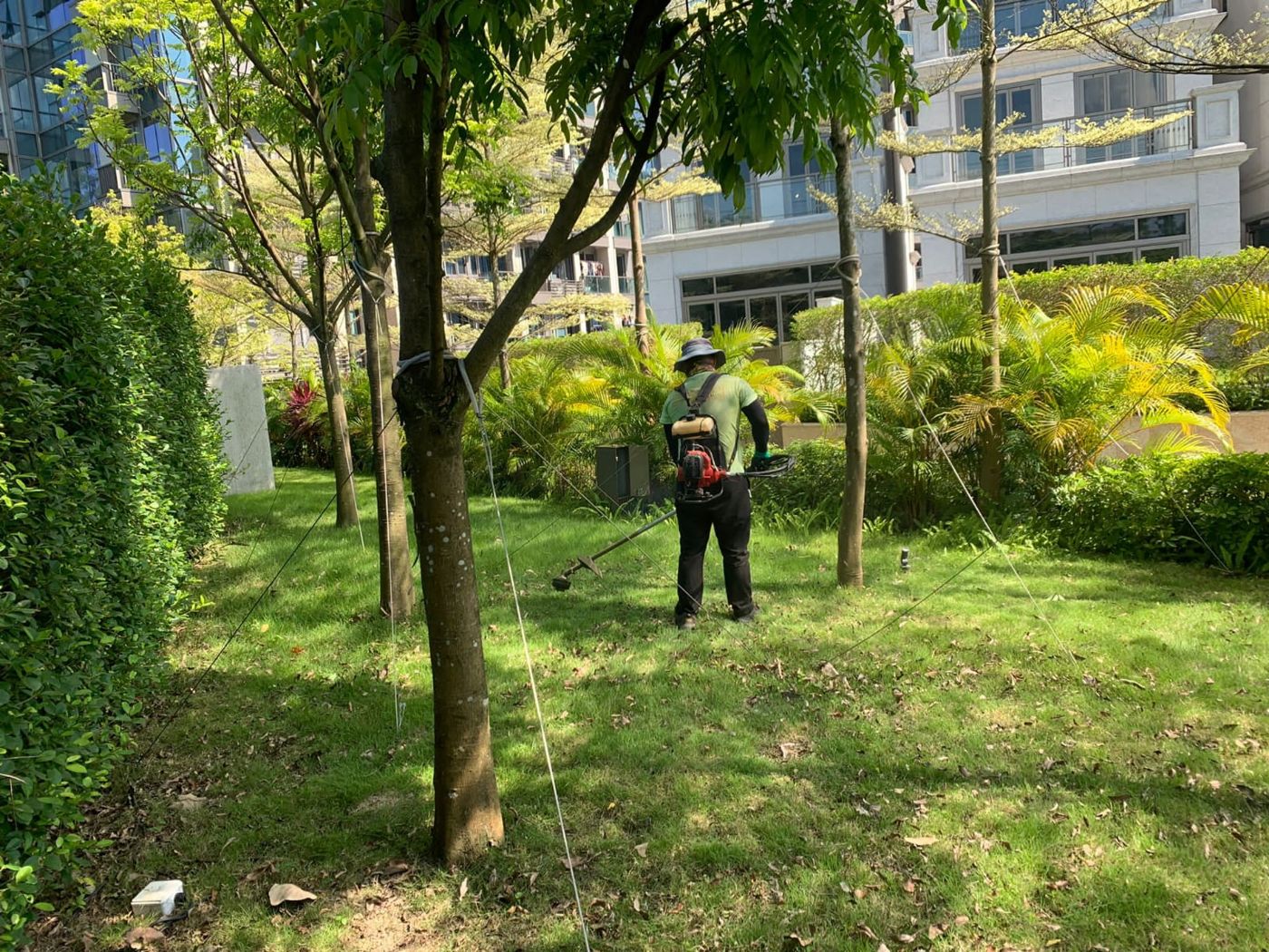 除草工程